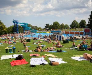 Swimming pool with sunbathing lawn and slide