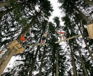 Der Hochseilgarten im Wald Blick auf einzelne Station von unten