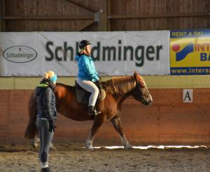 Reitunterricht in der Reithalle