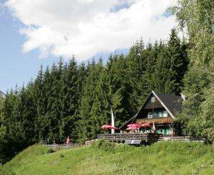 Die Ochsenalm im Wald am Rittisberg