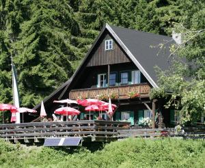 The Ochsenalm with sun terrace